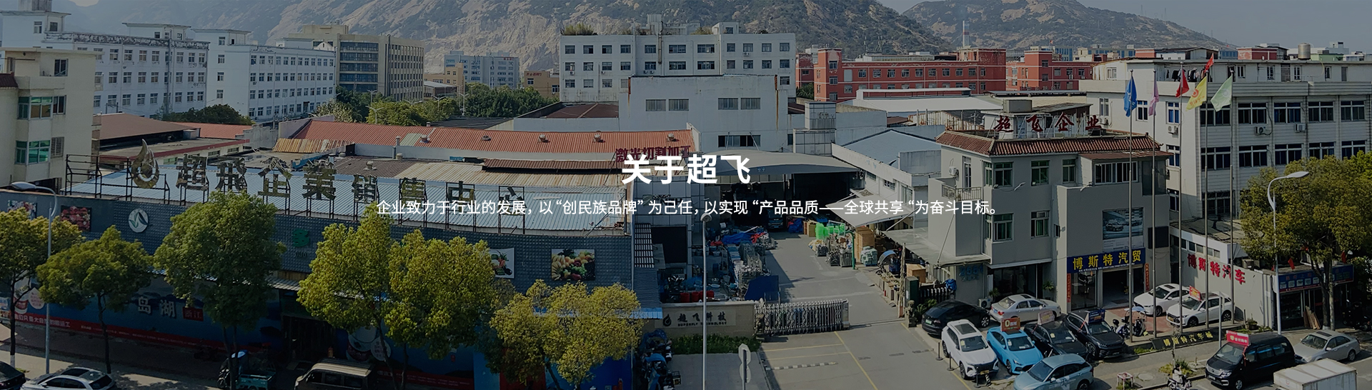 衛(wèi)生級止回閥，快裝閥門廠家